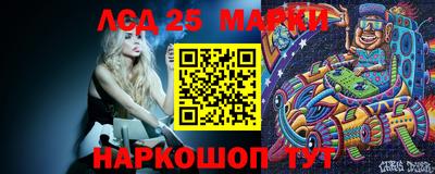 гидропоника Краснодар
